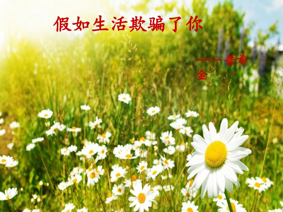 假如生活欺骗了你说课稿_第1页