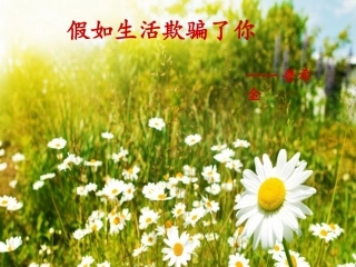 假如生活欺骗了你说课稿