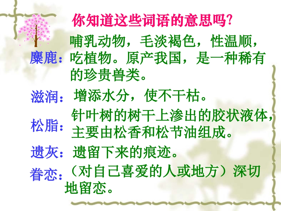 《这片土地是神圣的》课件 (5)_第3页