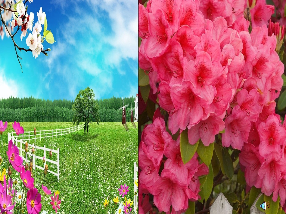 人教版一年级语文上册课文(一)2《四季》课件_第2页