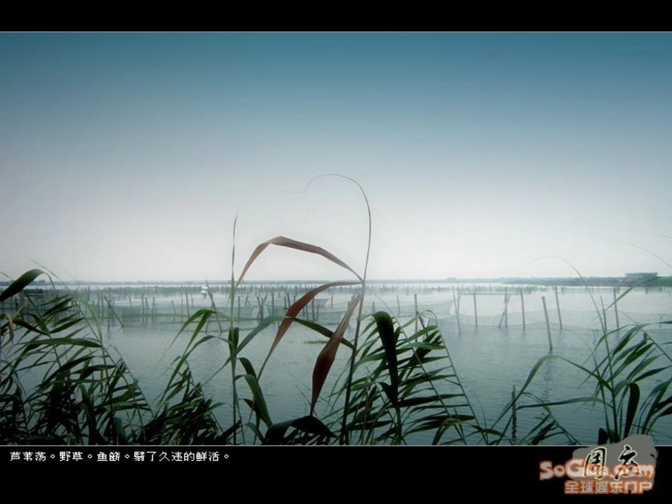 《采茶舞曲》欣赏_第3页