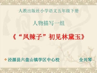 凤辣子初见林黛玉