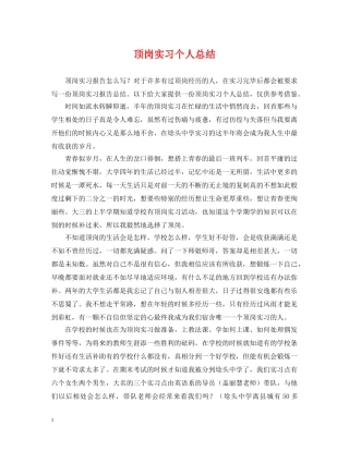 顶岗实习个人总结2 