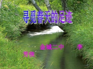 寻觅春天的足迹