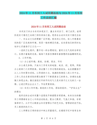 2024年11月车间工人试用期总结与2024年11月车间工作总结汇编