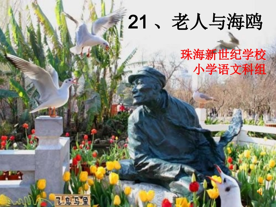 优秀课例——《老人与海鸥》_第1页