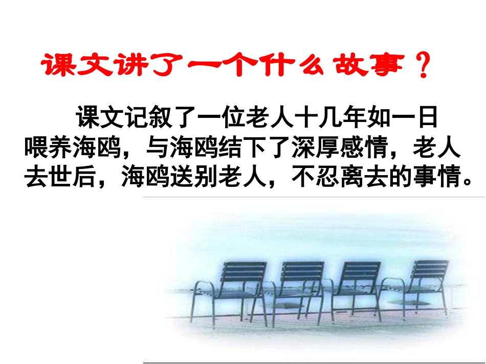 优秀课例——《老人与海鸥》_第3页