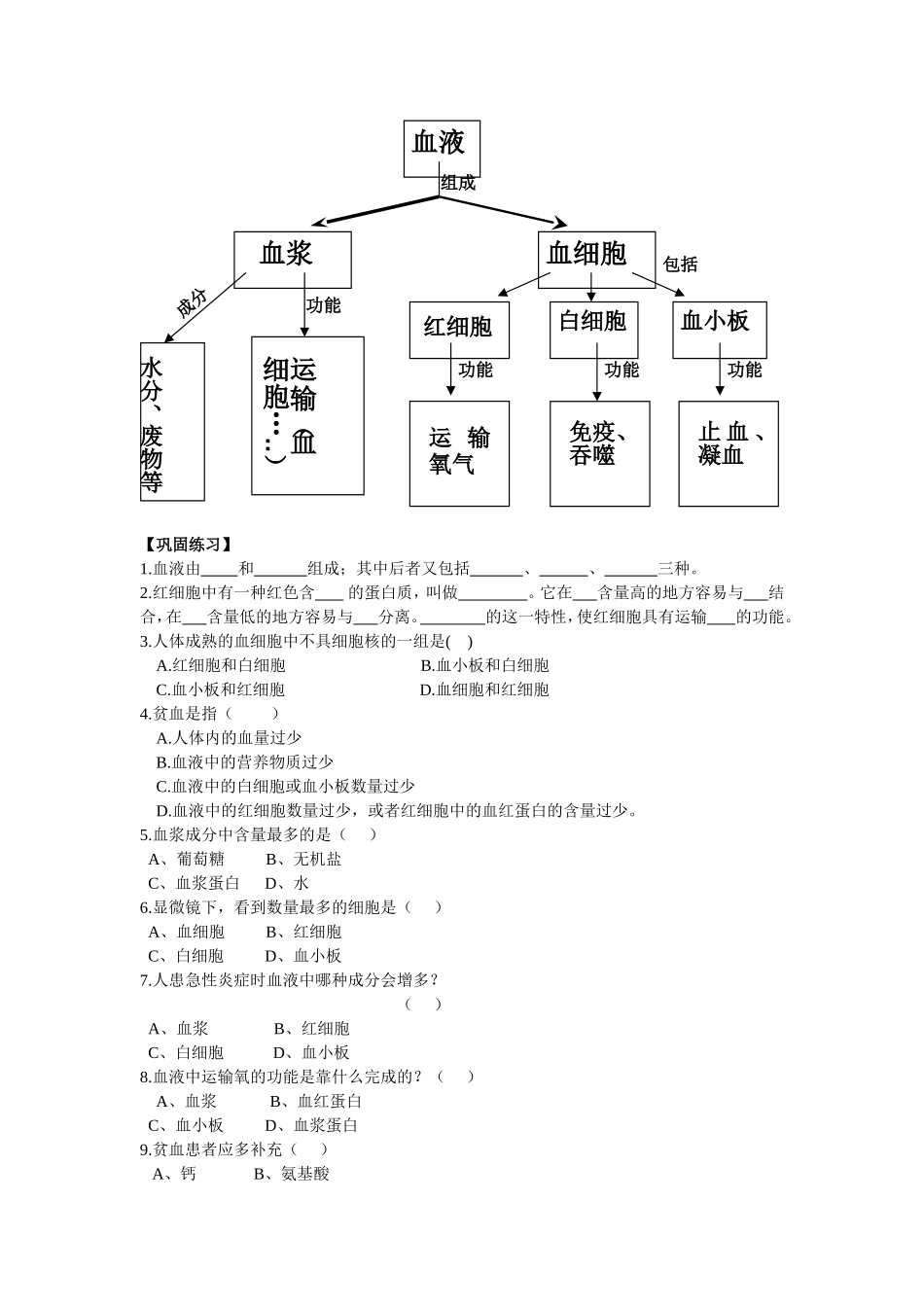 第1节-流动的组织——血液_第3页