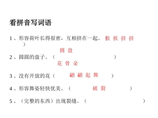 人教版小学三年级语文下册第3课《荷花》PPT课件2