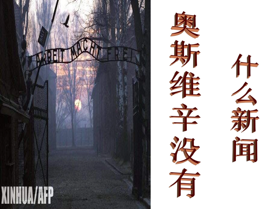 奥斯维辛没有什么新闻_第1页