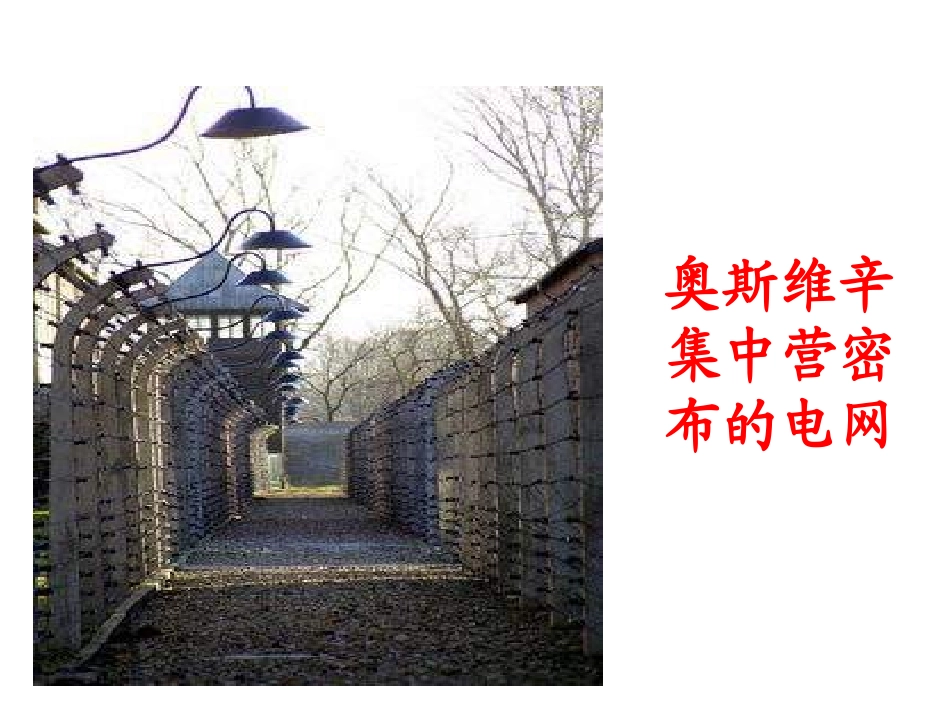 奥斯维辛没有什么新闻_第3页