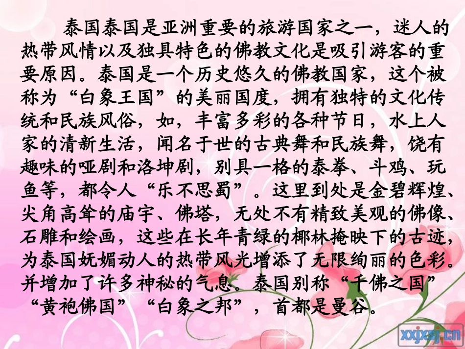 人教版五年级语文下册《与象共舞》课件_第2页