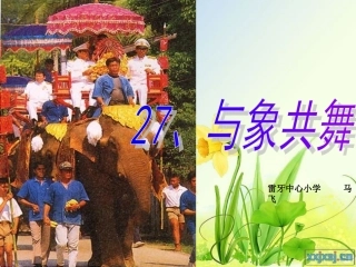 人教版五年级语文下册《与象共舞》课件