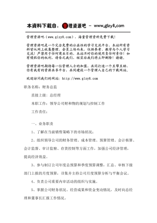 职务说明书：财务总监