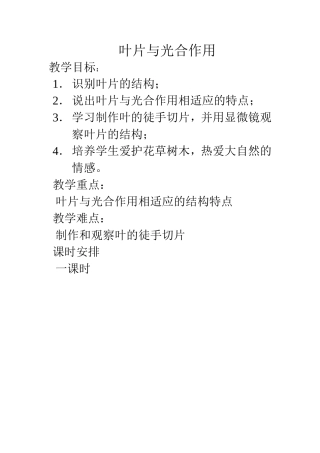 叶片与光合作用