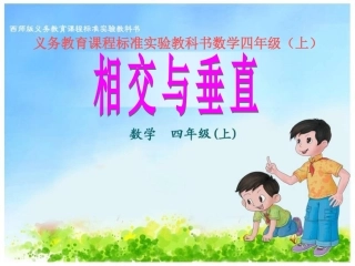 《相交与垂直3》