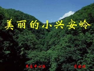 《美丽的小兴安岭》PPT课件