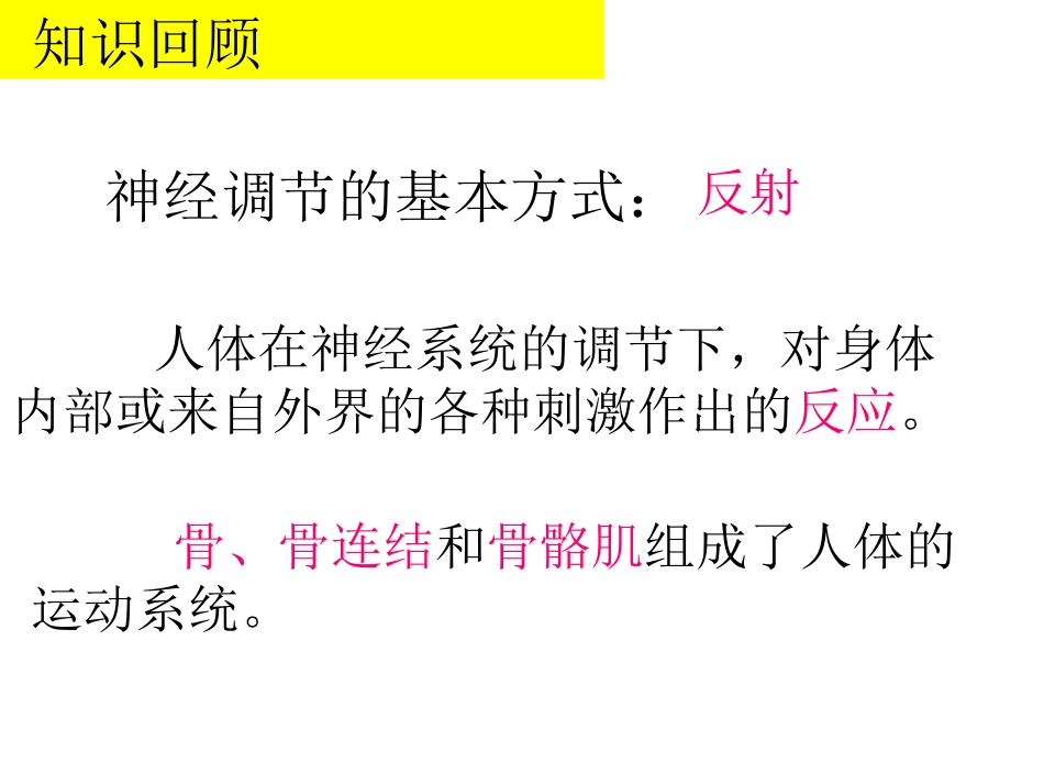 17.1(1)人体的运动_第2页