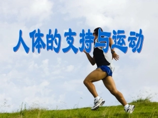 17.1(1)人体的运动