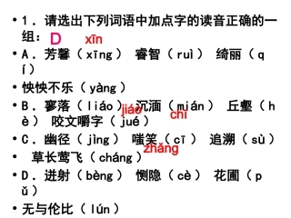 考前选择题集训