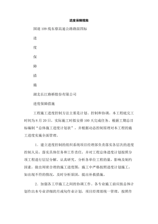 进度保障措施