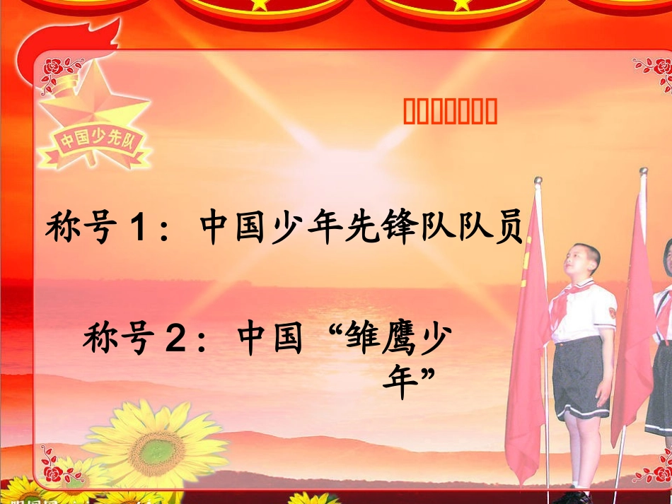 《雏鹰之歌》课件_第1页