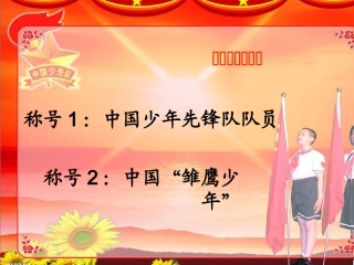 《雏鹰之歌》课件