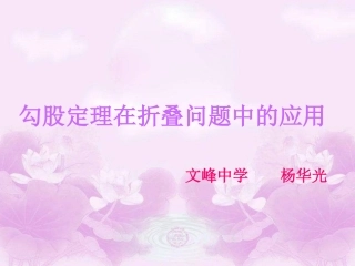 文峰中学杨华光