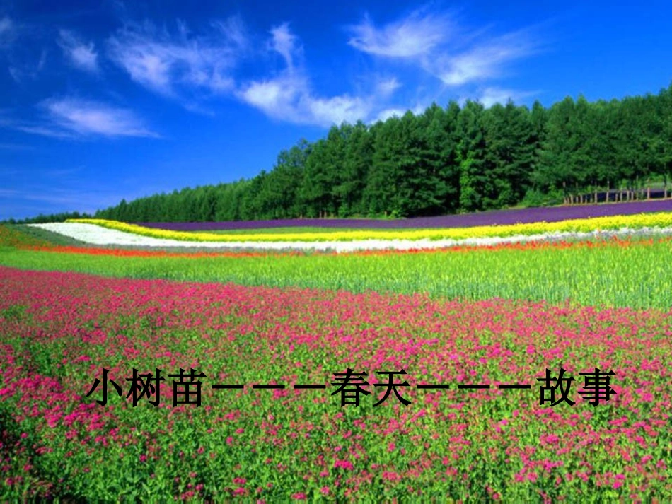 《童心是小鸟》课件_第3页