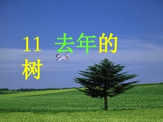 《去年的树》演示课件