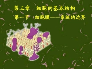 细胞膜——系统的边界