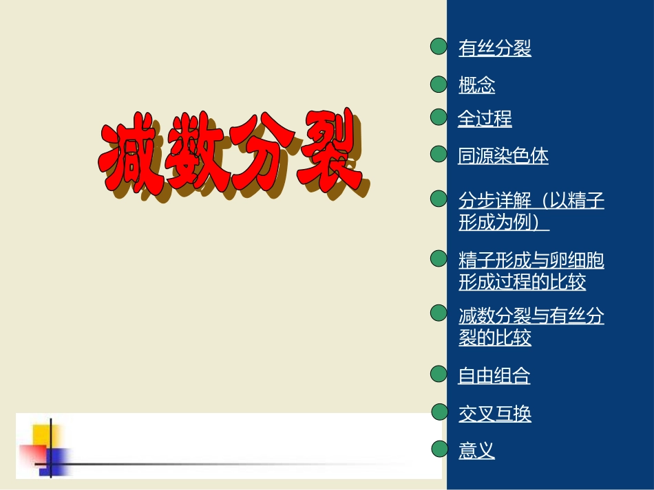减数分裂简洁版 (2)_第1页
