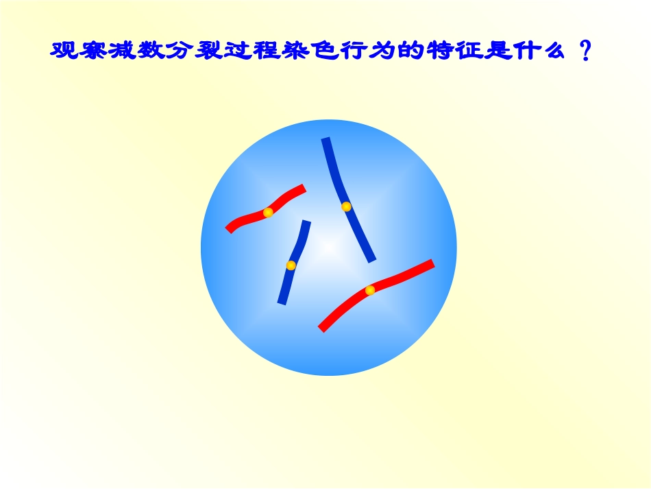减数分裂简洁版 (2)_第2页