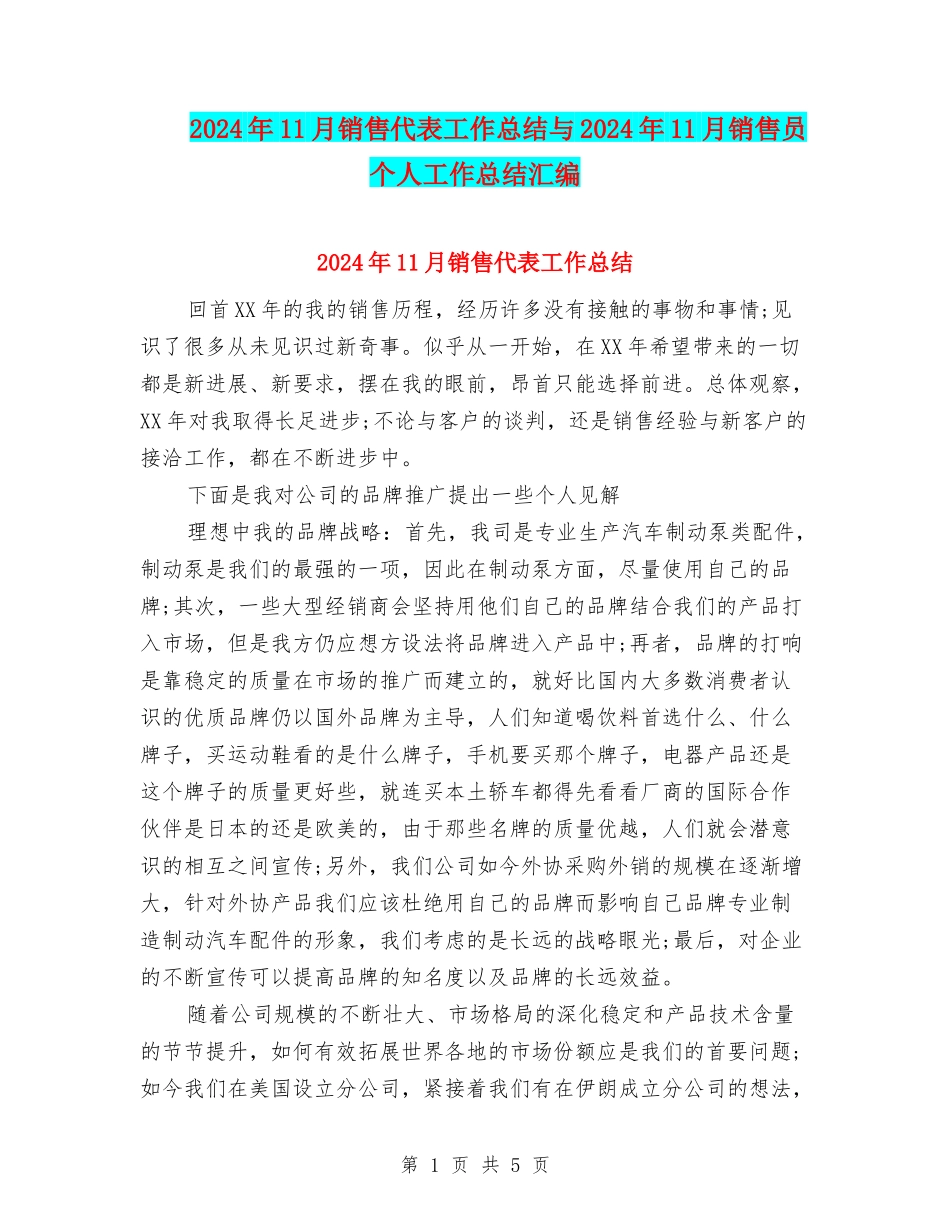 2024年11月销售代表工作总结与2024年11月销售员个人工作总结汇编_第1页