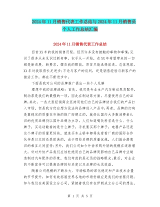 2024年11月销售代表工作总结与2024年11月销售员个人工作总结汇编