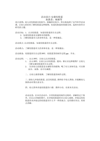 活动设计安康绞股蓝