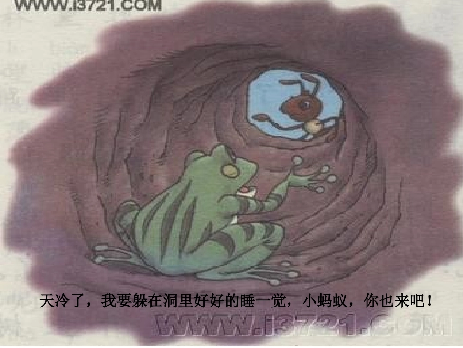 大班科学课件：动物过冬办法多_第2页