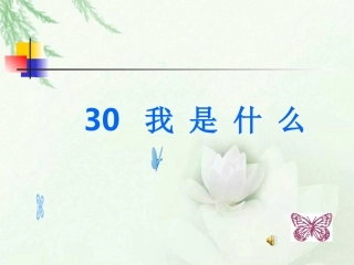 二年级语文上册30我是什么