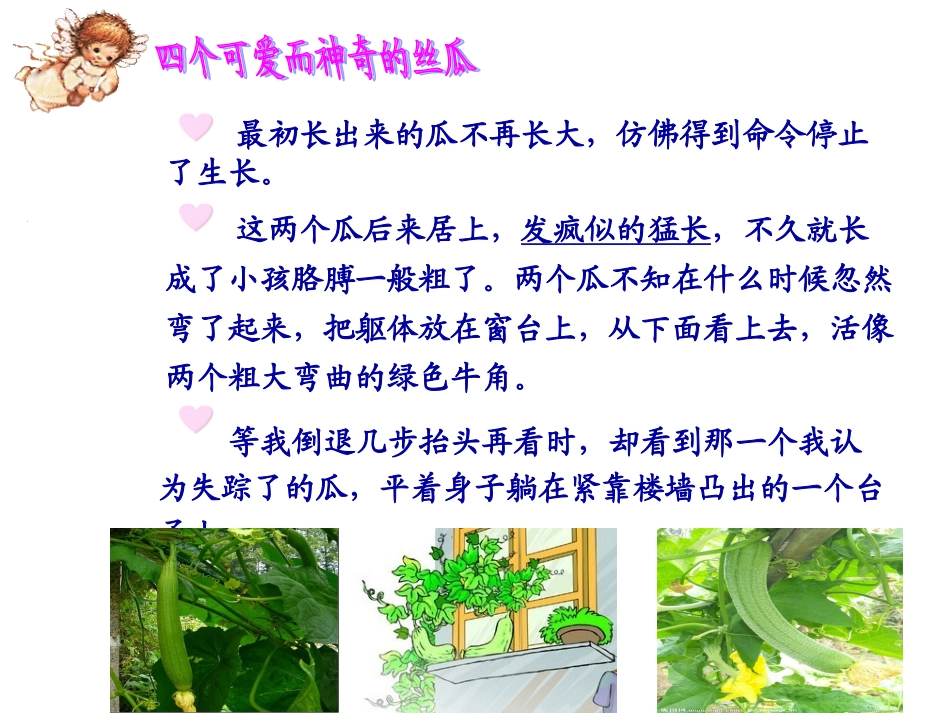 《神奇的丝瓜》5课件11_第3页