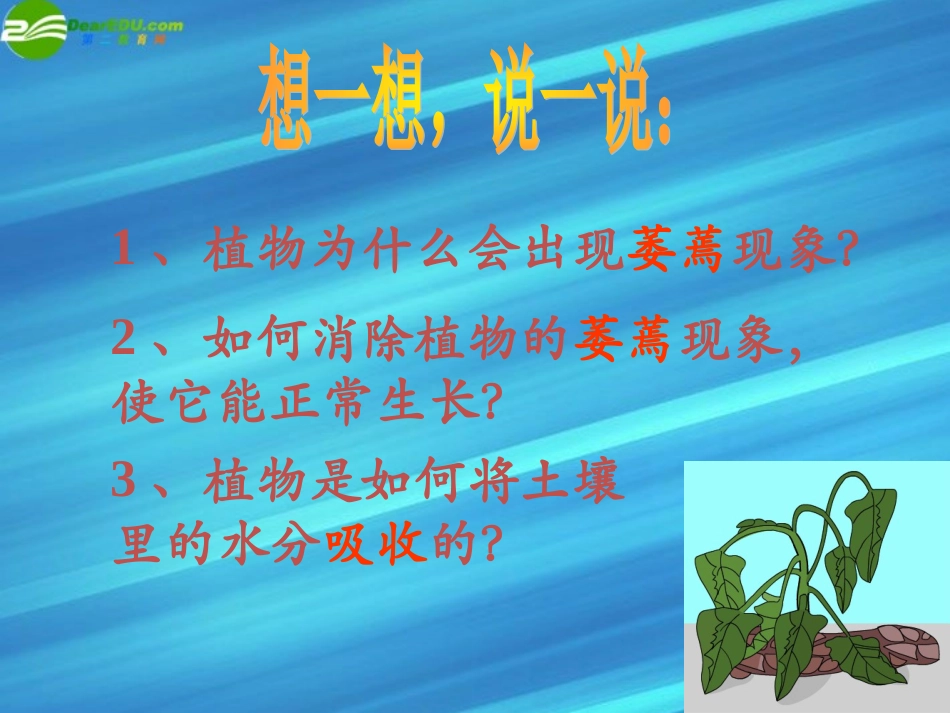 八年级科学上册-第六章-植物的新陈代谢-2.植物对水的吸收、运输利用和散失课件-(1)-华师大版_第2页