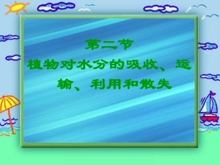 八年级科学上册-第六章-植物的新陈代谢-2.植物对水的吸收、运输利用和散失课件-(1)-华师大版