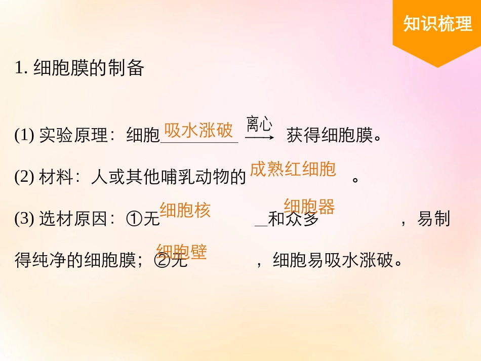 细胞结构复习_第2页