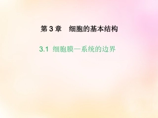 细胞结构复习