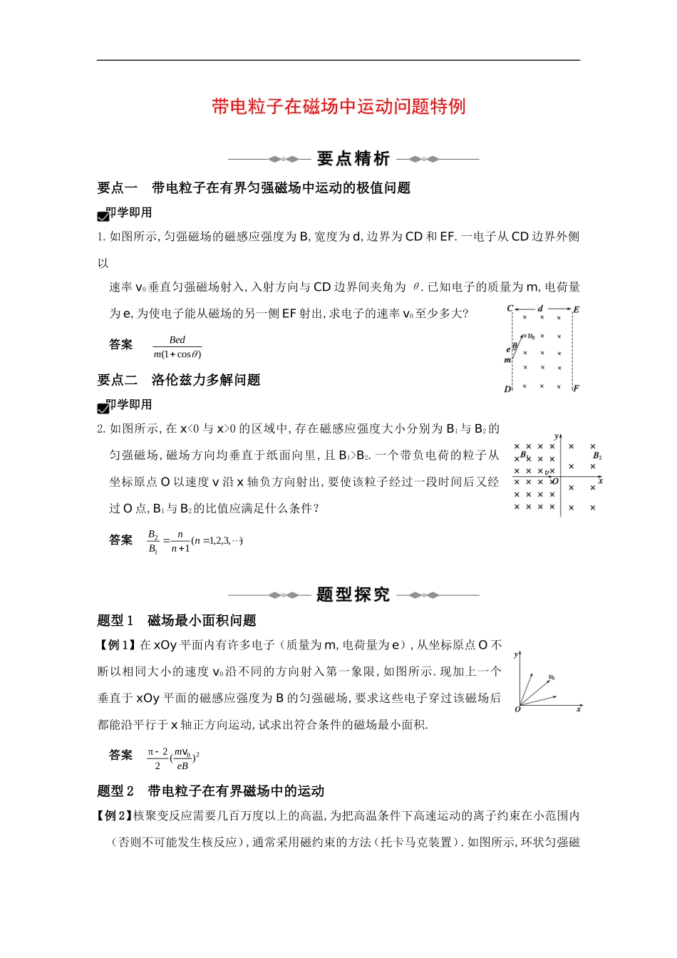 2010高三物理高考精品讲练系列学案：带电粒子在磁场中运动问题特例_第1页