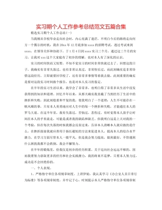 实习期个人工作参考总结范文五篇合集