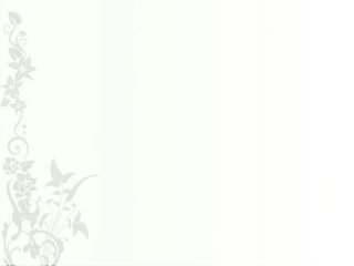 扇形统计图占美华