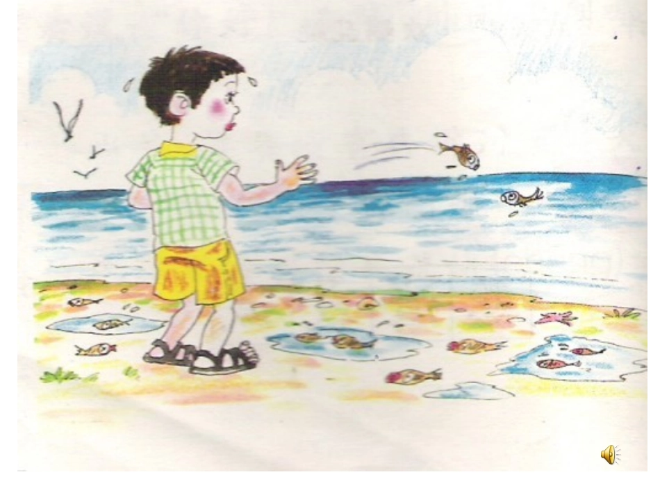 这条小鱼在乎1_第3页