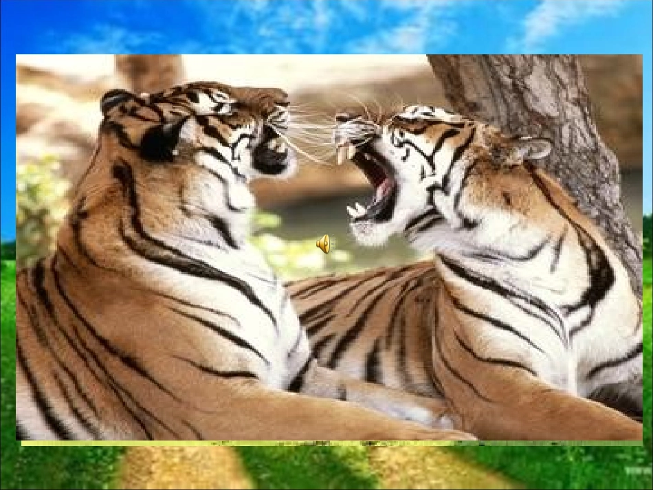 学儿歌-两只老虎_第3页