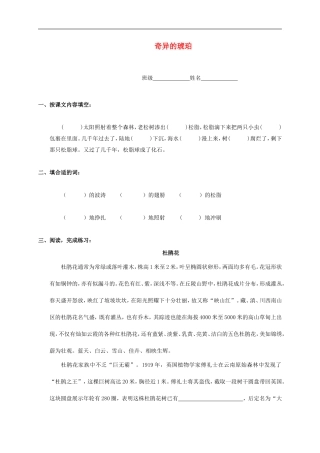 六年级语文上册-奇异的琥珀一课一练(无答案)-语文S版