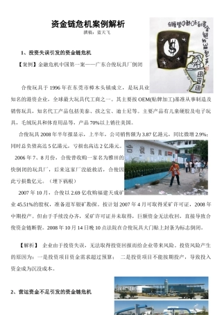 资金链危机案例解析